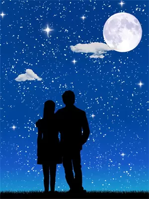 星河传奇一期户型图