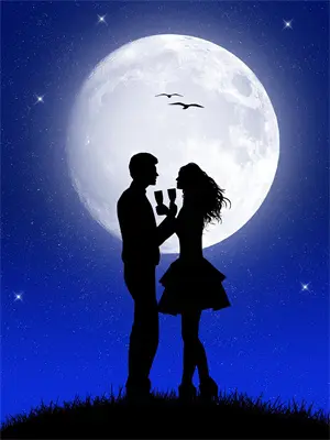 桃花依旧故人未归洛婉兮凌渊