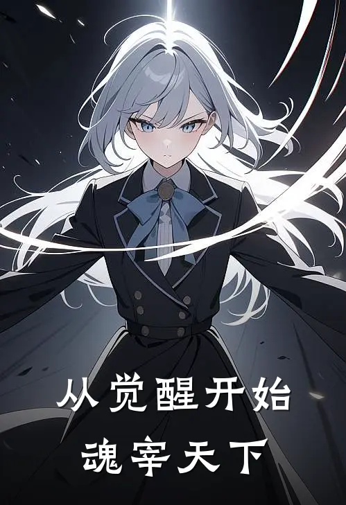 从觉醒开始魂宰天下